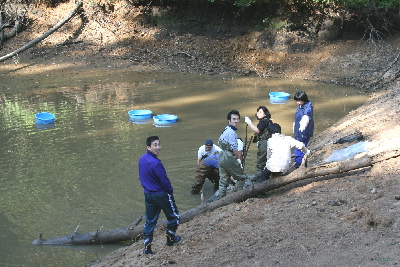 20071021 003t400.jpg